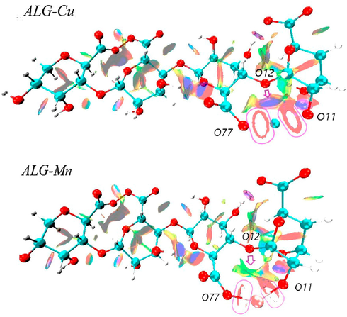 Isosurfaces of the reduced density gradient with s = 0.6 a.u. for ALG-Cu and ALG-Mn.