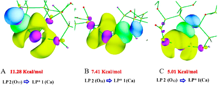 ABC NBO orbitals for the most important interactions, in terms of E ( 2 ) , in ALG-Ca.