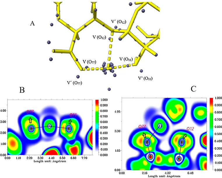 Attractor populations of the lone pairs of O11, O12, O77 and valence attractors and the copper core (A). ELF diagrams for the Cu-(O77, O11) interaction (B), and for the Cu-(O12, O77) interaction (C).