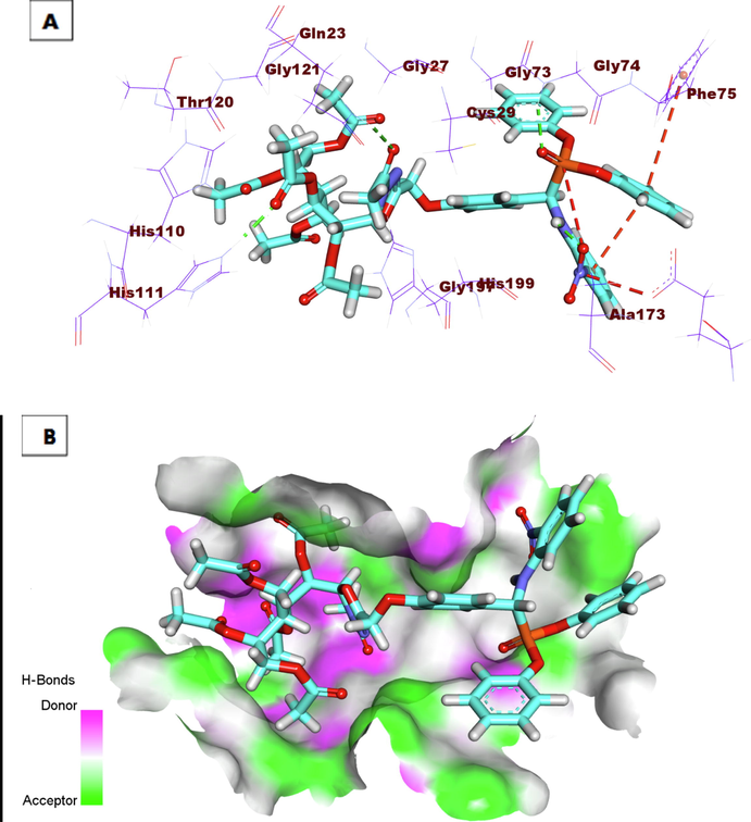 A) Compound 9h docked into the active site of Cathepsin B. B) Mapping surface showing compound 9h occupying the active pocket of Cathepsin B.