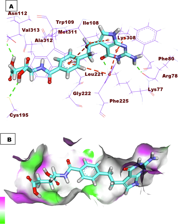 A) Co-crystallized ligand (LYA) docked into the active site of TS. B) Mapping surface showing co-crystallized ligand (LYA) occupying the active pocket of TS.