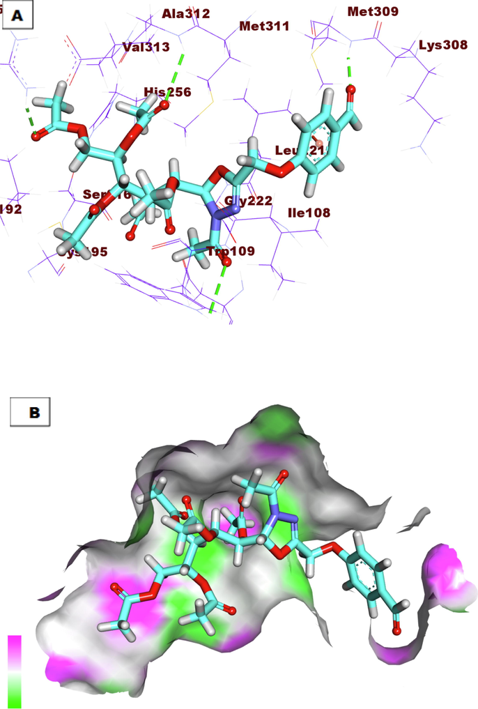 A) Compound 7a docked into the active site of TS. B) Mapping surface showing compound 7a occupying the active pocket of TS.