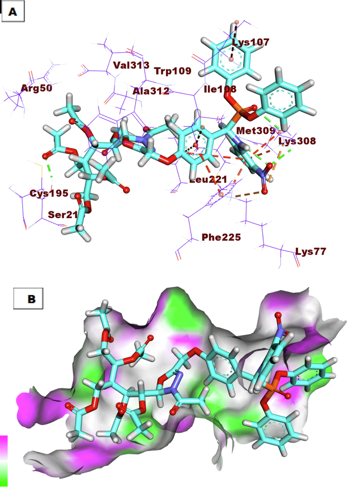 A) Compound 9i docked into the active site of TS. B) Mapping surface showing compound 9i occupying the active pocket of TS.