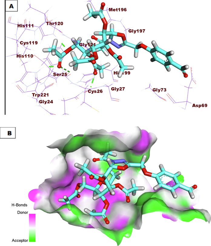 A) Compound 7a docked into the active site of Cathepsin B. B) Mapping surface showing compound 7a occupying the active pocket of Cathepsin B.