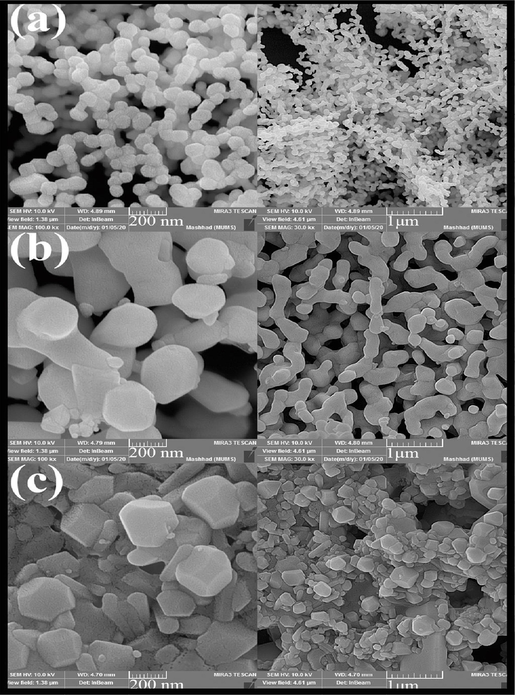 SEM images of Tb2CoMnO6 nanoparticles synthesised in the presence of different fuel (a) Maltose, (b) Cellulose, and (c) Date syrup.