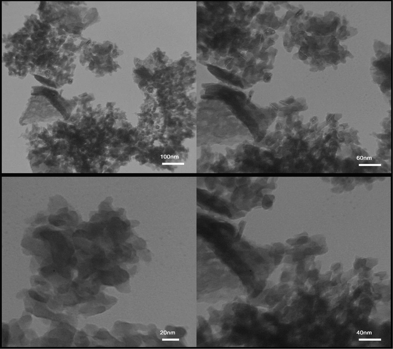 TEM images obtained from Tb2CoMnO6 nanoparticles sample No. 3.