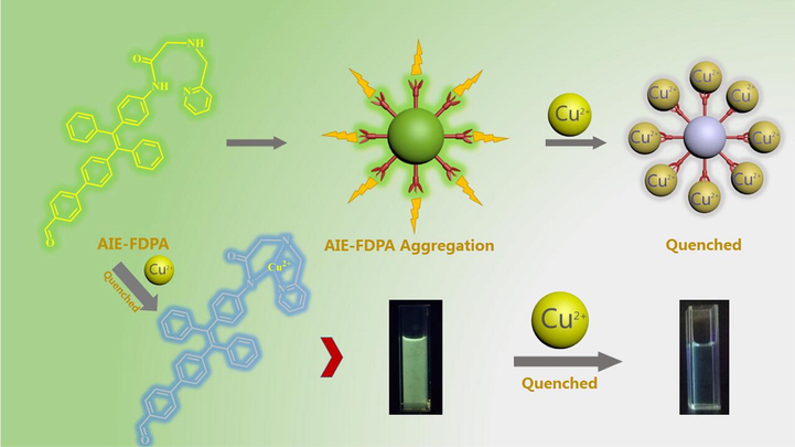 The chemical structure of FPDA and its mechanism for Cu2+ sensor. Owing to the probe (FDPA) contains both the hydrophobic and hydrophilic segments, it can form AIE-FDPA aggregates after self-assembly. These fluorescent nano-aggregates could therefore display high fluorescence and well dispersibility in aqueous solution. On the other hand, the probe could coordinate with the metal ions and result in fluorescence quenching.