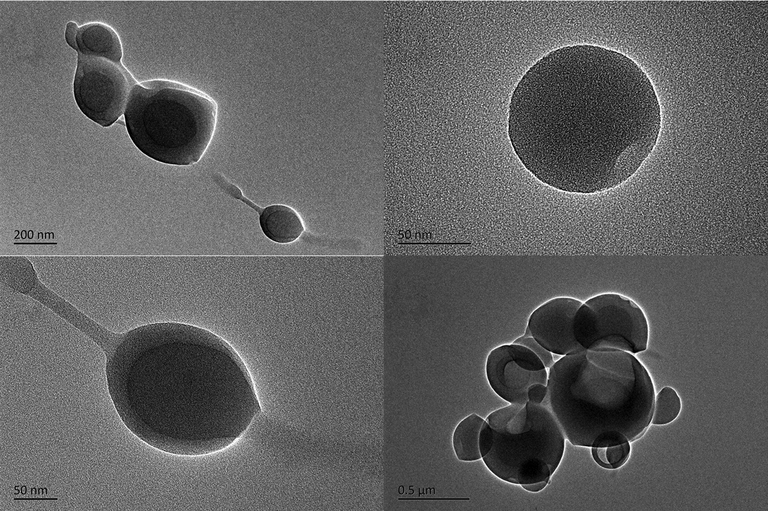 TEM images of FDPA with different magnifications. The TEM images implied that the amphiphilic FDPA could form the spherical nanoparticles with size between 150 and 300 nm.