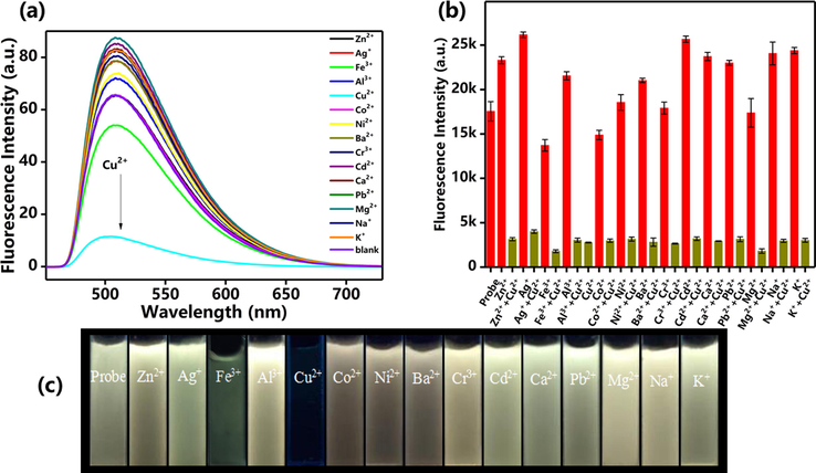 (a) Fluorescence spectra of FDPA upon addition of different metal ions. (b) Fluorescence intensity of probe FDPA at 532 nm with different metal ions (dark yellow lines) and after adding Cu2+ to the mixture of probe FDPA and different metal ions (red lines). (c) Optical images of probe in the presence of different metal ions under the UV lamp irradiation at 365 nm.