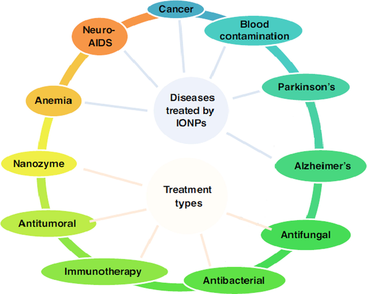 Schematic demonstration of FeONPs application for various therapeutic purposes. Reprinted with permission from (Alphandéry, 2020).