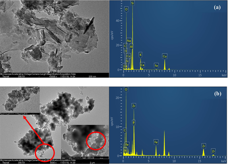 TEM images and EDS spectra of (a) raw clinoptilolite and (b) synthesized PVA/SA-CFZ.