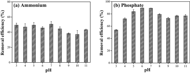 Effect of pH on the simultaneous removal of (a) ammonium and (b) phosphate by PVA/SA-CFZ. Experimental conditions: initially, 5 mg/L ammonium and 0.5 mg/L phosphate in water; the dosage of PVA/SA-CFZ was 7 g/L; the reaction time was 12 h. Error bars represent min/max values observed for duplicate experiments (too small if not shown).