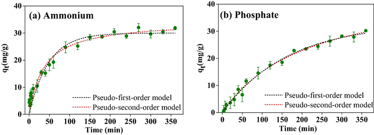 Adsorption kinetics of (a) ammonium and (b) phosphate by PVA/SA-CFZ. Experimental conditions: initially, 100 mg/L ammonium and 100 mg/L phosphate in water; the dosage of PVA/SA-CFZ was 6 g/L; the reaction time was 0 ∼ 360 min. Error bars represent min/max values observed for duplicate experiments (too small if not shown).