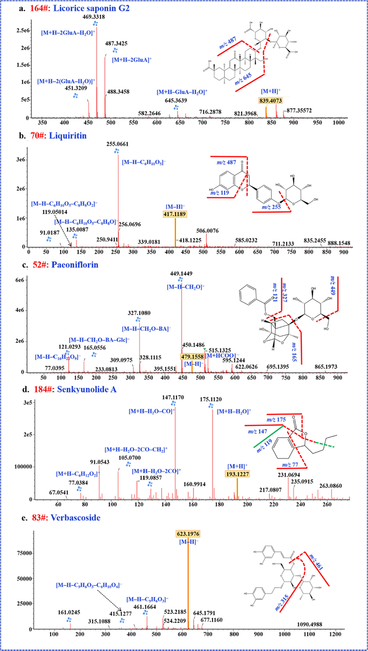 The characteristic MS2 spectra and structures of licorice saponin G2, liquiritin, peaoniflorin, verbascoside and senkyunolide A.