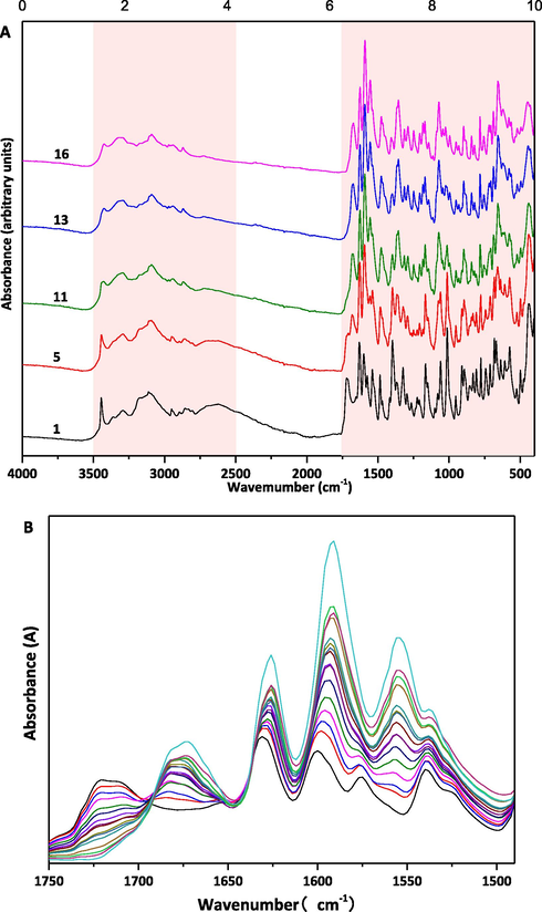 (A) Total ATR-FTIR spectra of 5/16 ETV solid forms binary mixture samples and (B) partial ATR-FTIR spectra of 16 ETV solid forms binary mixture samples.