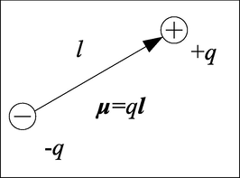 The schematic representation of a permanent molecular dipole.