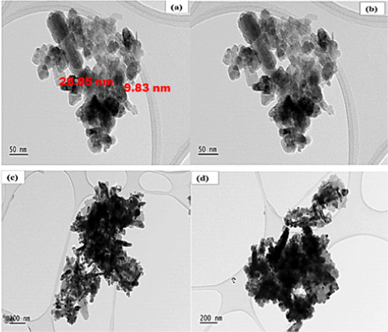 TEM images of biosynthesized ZnO nanoparticles using T. diversifolia leaf extract at different magnifications.