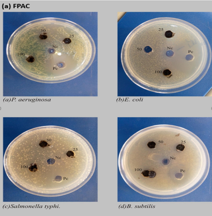 Antibacterial activity of (a) FPAC, (b) ZnONPs and (c) ZnONPs-FPAC.