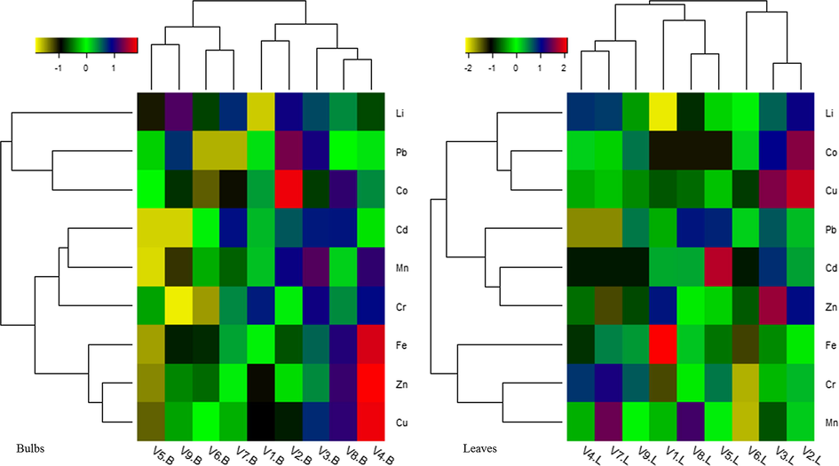 Hierarchal clusters of heavy metals (mg/kg-FW) distribution in the bulbs and leaves of onion varieties.