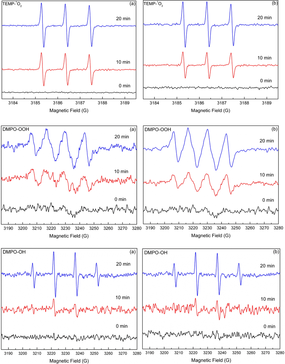 EPR spectral changes of the TEMP-1O2, DMPO-O2−•, DMPO-OH adducts generated in the DS (a) and SS (b) systems under simulated solar light irradiation.