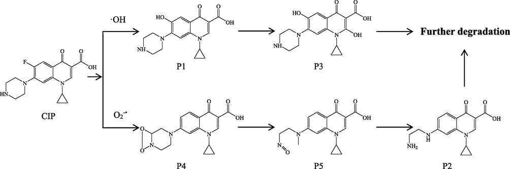 Proposed photolysis pathways for CIP in the presence of natural sands.