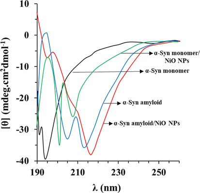 Far- UV CD study of protein aggregation with or without NiO NPs. CD spectra of α-synuclein incubated without or with NiO NPs in the aggregation buffer (PBS, pH 7.4, 37 °C) by stirring at 100 rpm for 40 h. Data were reported as explained in Section 2.