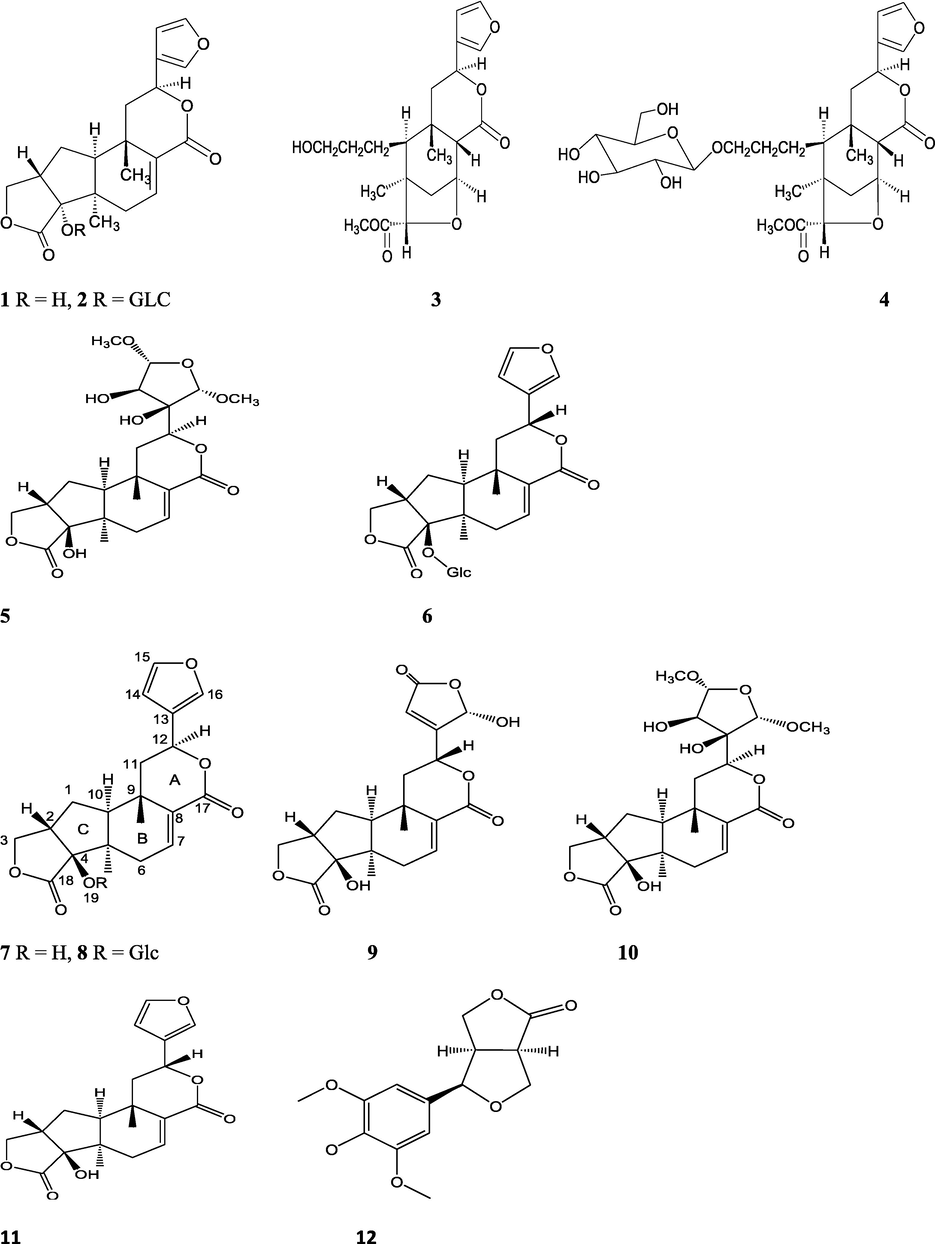 Structures of isolated compounds from Indian Tinospora species.