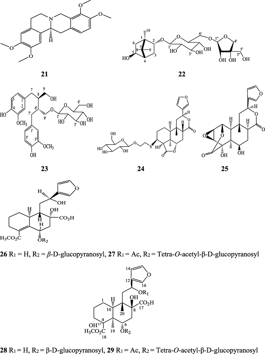 Structures of isolated compounds from Indian Tinospora species.