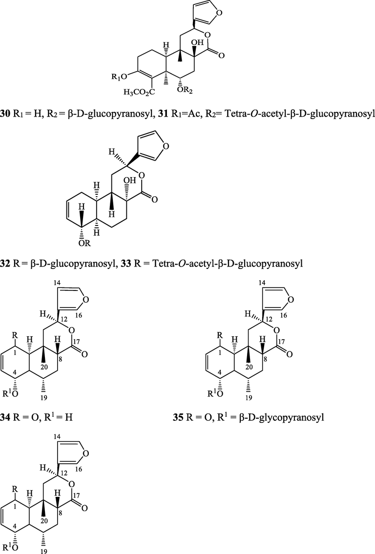 Structures of isolated compounds from Indian Tinospora species.