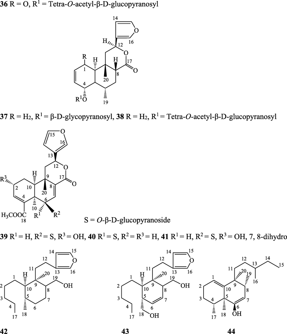 Structures of isolated compounds from Indian Tinospora species.