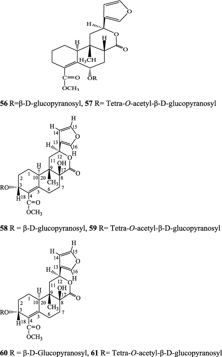 Structures of isolated compounds from Indian Tinospora species.