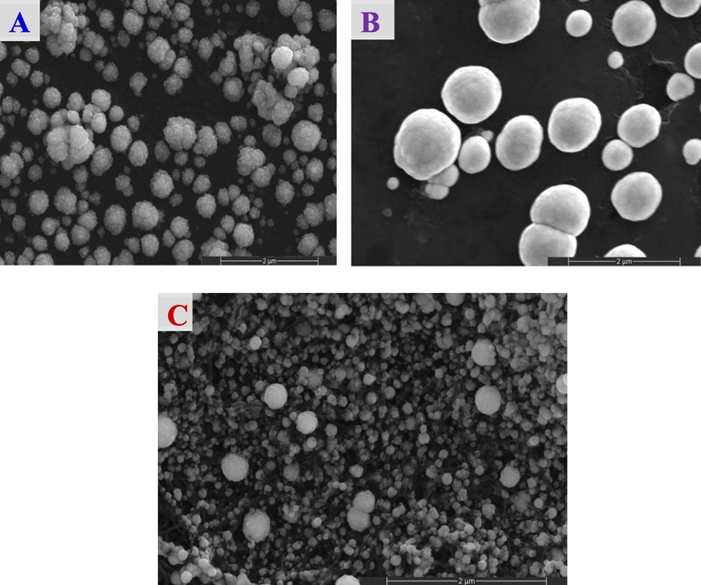 FE-SEM images of the (A) Pt/GC, (B) NiOx/Pt/GC and (C) NiOx/Pt/CNTs/GC electrodes.