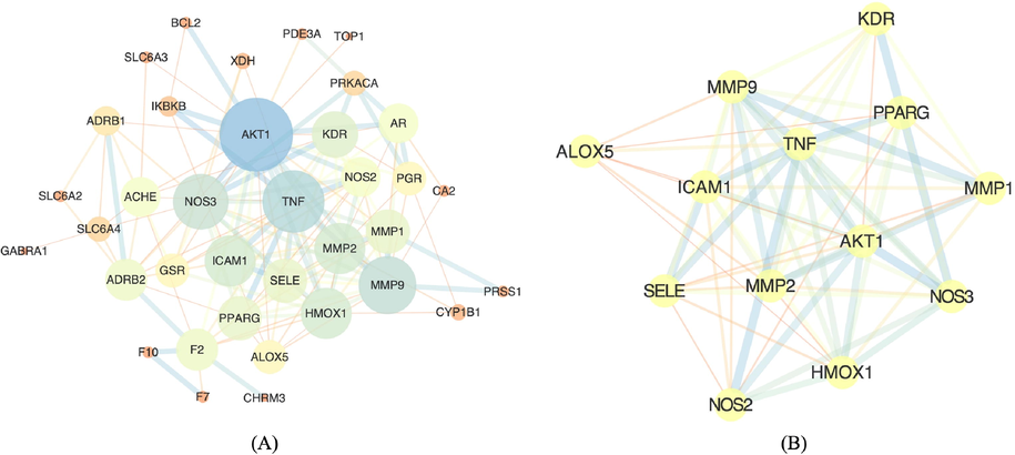 Schematic illustration of the enrichment of protein–protein interactions between target proteins (P-value < 1e−16). Network nodes represent proteins, and the edges represent protein–protein associations. (A) PPI enrichment analysis through online STRING platform version 11.0. (B) Highly inter-connected region through Mcode analysis.