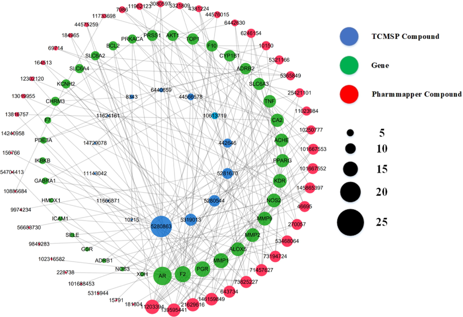 The interaction network among components from the ethanol extract of mulberry leaves and T2DM-related target proteins. All the compounds were labelled with PubChem ID in order to avoid compound-name overlapping. The diameters of circles reflect the number of interactions. Green circles: target genes (proteins). Blue circles: 14 compounds collected from TCMSP database. Pink circles: 49 compounds collected from PharmMapper database. Grey lines: connections between circles.