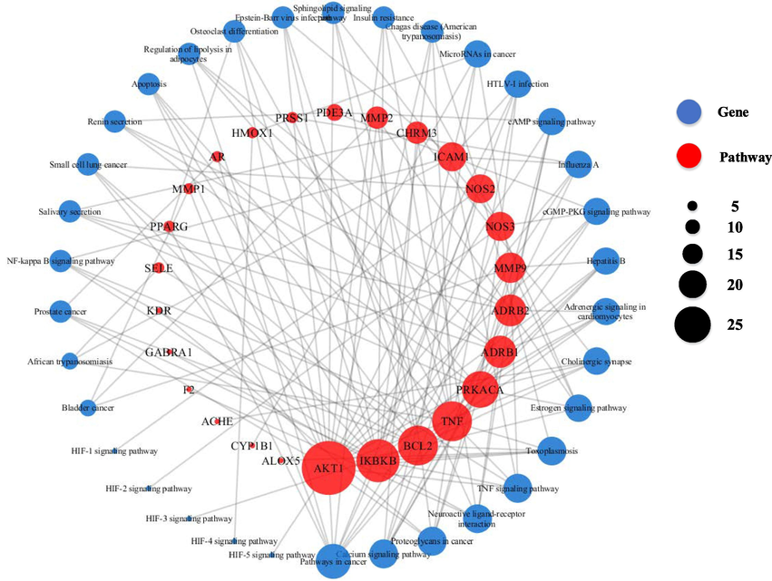 Schematic illustration of the network of pathway-target interactions. Blue-circle nodes represent the pathways involved in the target protein while pink-circle nodes represent target proteins. The diameter of the circle node represents the number of connections (interactions) with other nodes.