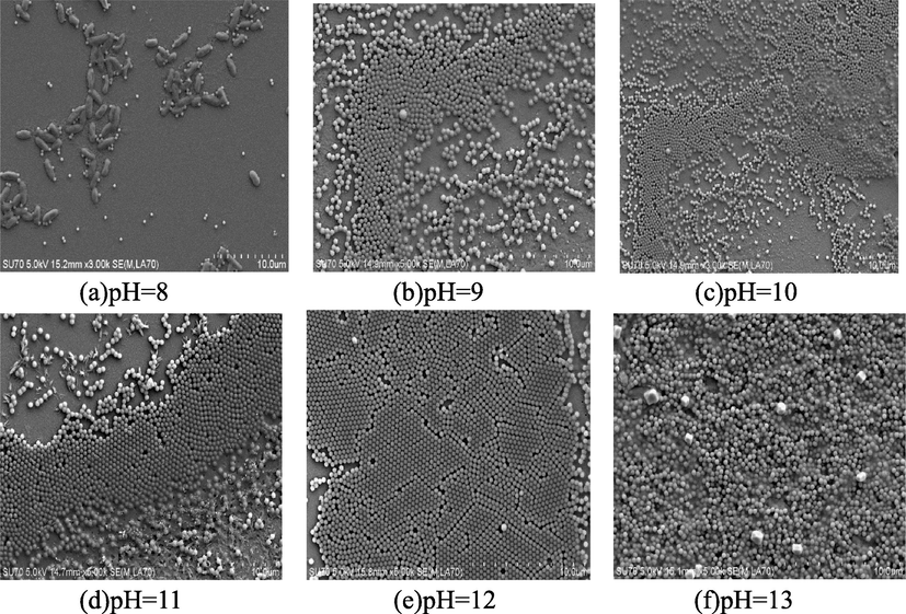 SEM of interface of liquid–air with different pH values. (a) No crystallization and aggregation appears, still solution. (b)–(e) Crystallization has formed more or less. (f) Obvious aggregation has appeared.