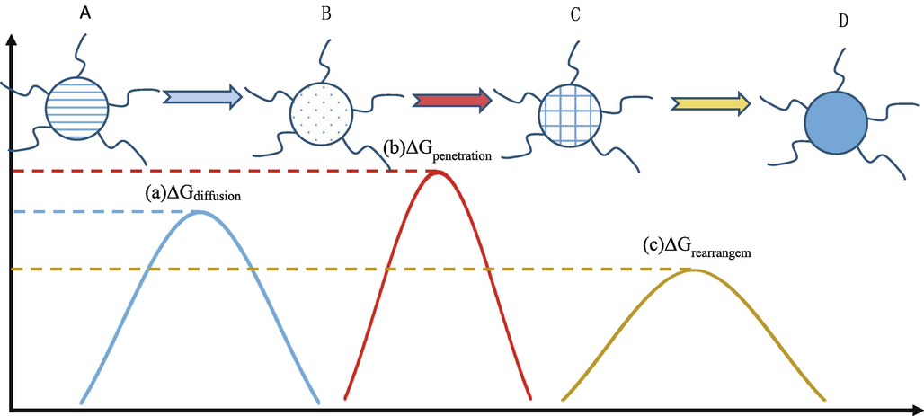 The kinetics of 2D self-assembly of complex molecules at the interface includes three processes, and during each process, complex molecules have to overcome specific energy barrier. (a) a diffusion of complex molecules to the interface; (b) the penetration of complex molecules through the interface film from subsurface to surface; and (c) molecular rearrangements of adsorbed molecules in the film.