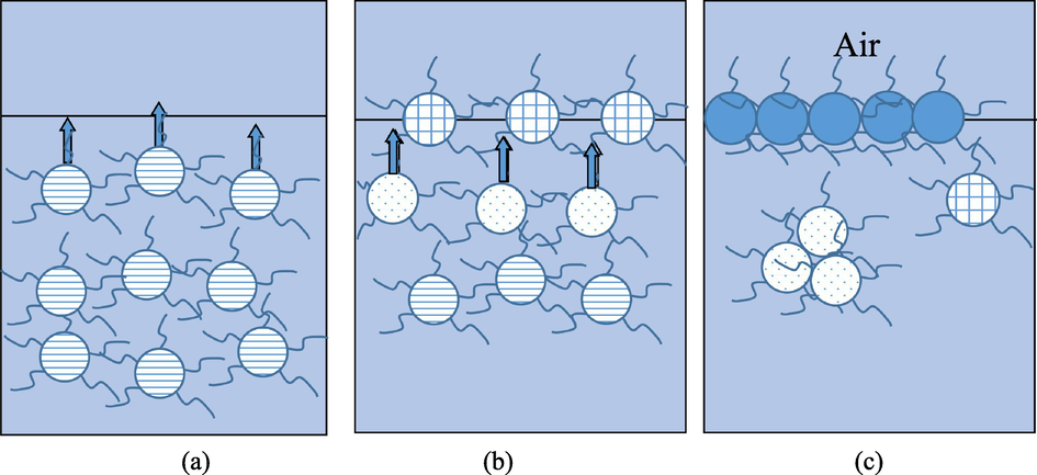 Complex molecules 2D interface assembly kinetics. (a) Molecules diffuse to the air/solution interface immediately after combined as complex. (b) When more molecules cover the surface, the subsequently impinging molecules need to penetrate subsurface to be adsorbed at the surface. (c) When the surface is almost fully covered, the molecules at the surface need to rearrange their orientations and conformations to make space for the arriving molecules.