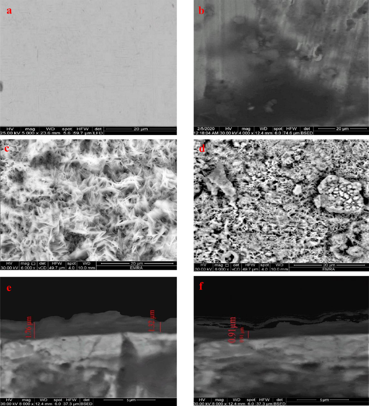 SEM image of carbon steel sample: blank (untreated) (a), blank sample after 24-hour immersion in 3.5% NaCl solution (b), the deposited sample with a gap distance 1 cm as an example (c), the deposited sample with a gap distance 1 cm after 24-hour immersion in 3.5% NaCl solution (d), cross-section of the treated sample with a gap distance 1 cm (e), cross-section of the treated sample with a gap distance 1 cm after 24-hour immersion in 3.5% NaCl (f).