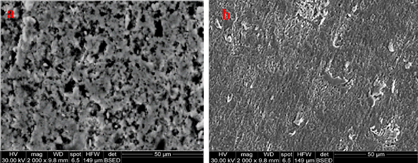 SEM images of plasma-treated steel samples with 1 cm gap distance after 24-hour immersion in solution with pH: (a) 1, (b) 9 at 30°.