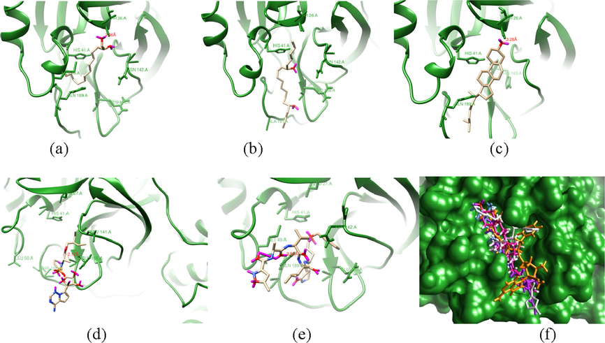 The binding modes of selected potential compounds within the active site of X-ray structure main protease (6LU7 pdb). (a) 1–2 tetradecandiol, (b) E,E,Z-1,3,12-nonadecatriene-5,14-diol, (c) Cholest-5-En-3-Ol (3.Beta.)-, (d) remdesivir , (e) NO3 and (f) superimposed image of the selected potential compounds.