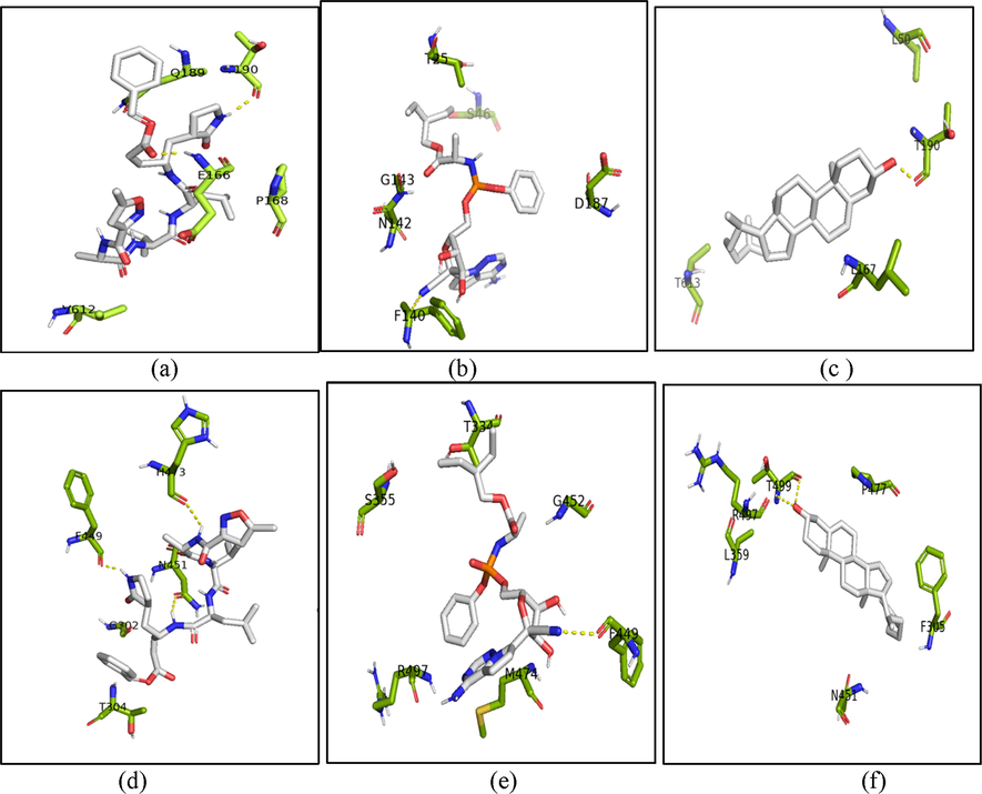 Interactions between complexes comprised of ligands and dimeric state of the 3CL-Mpro. The co-crystalized ligand N3 bound to subunit 1 (a) and 2 (d), remdesivir bound to subunit 1 (b) and 2 (e), and Cholest-5-En-3-Ol (3.Beta.)- bound to subunit 1 (c) and 2 (f) of dimer state of the 3CL-Mpro (6LU7 PDB). The active site residues of protein are shown in the green sticks visalization, the ligands are shown with grey stick representations and the interacting residues of hydrogen bonds within 3 Å are shown in yellow dashes. The figures were constructed with PyMOL 2.5.