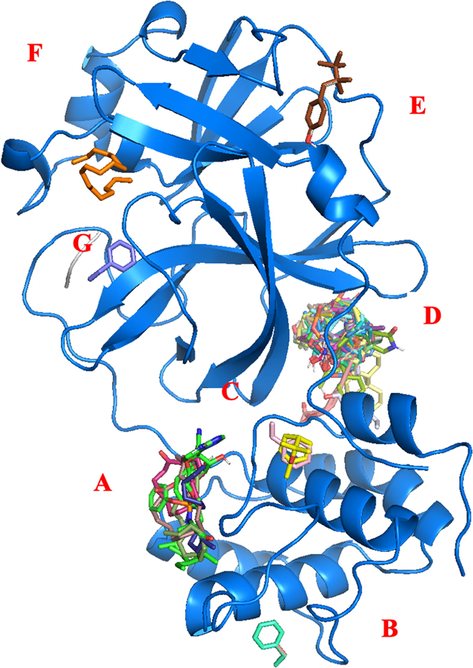 Allosteric site in monomer state.