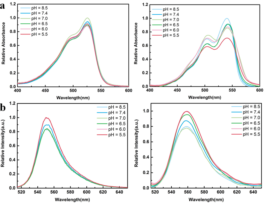 (a) The absorption spectra of 3 and 4 (C = 15 μmol/L) at different pH values are shown from left to right. (b) Emissivity spectra of 3 and 4 at different pH (ex = 500 nm).