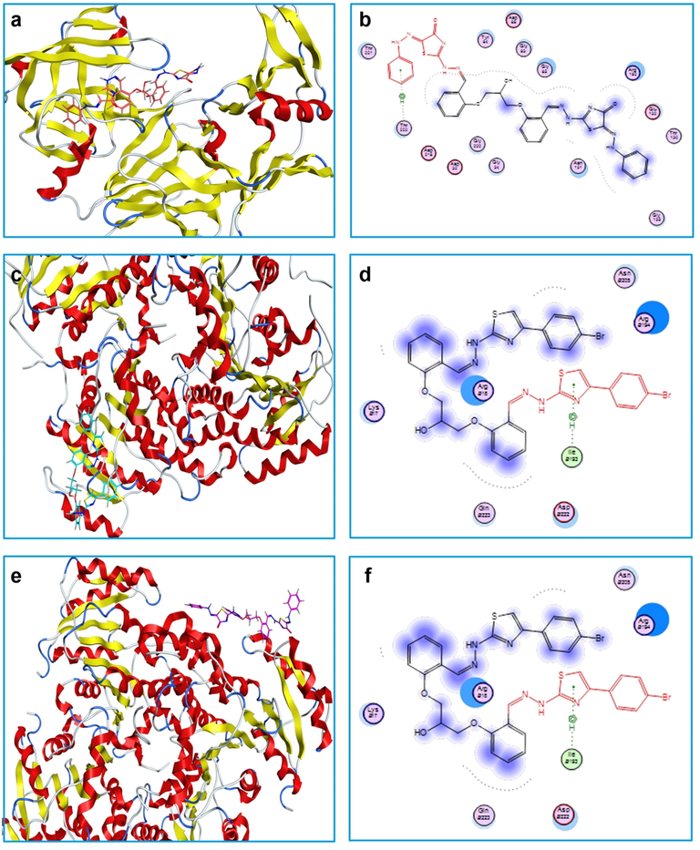 Best receptor-ligand interaction poses (a, c and e) and ligand interaction diagrams (b, d and f) of compounds 9b (with SAP of C. albicans), 12c (with FabI of S. aureus) and 9b (with FabI of P. aeruginosa), respectively.