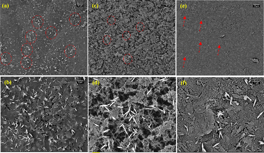 FE-SEM images of the surface of CA-X/ZnO-Y aerogel synthesized from various cellulose concentrations: (a-b) 3 wt%, (c-d) 6 wt%, and (e-f) 9 wt%. Images of (b), (d), and (f) at higher magnification of (a), (c), and (e), respectively.