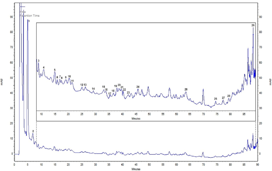 Representative HPLC chromatogram of the methanolic extract of P. pruinosa fruit pulp.