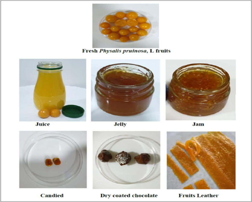 New P. pruinosa manufactured products. (Photos by E. A. Mahmoud).