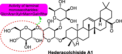 SAR study of hederacolchiside A1 (30) as antitumor agent.