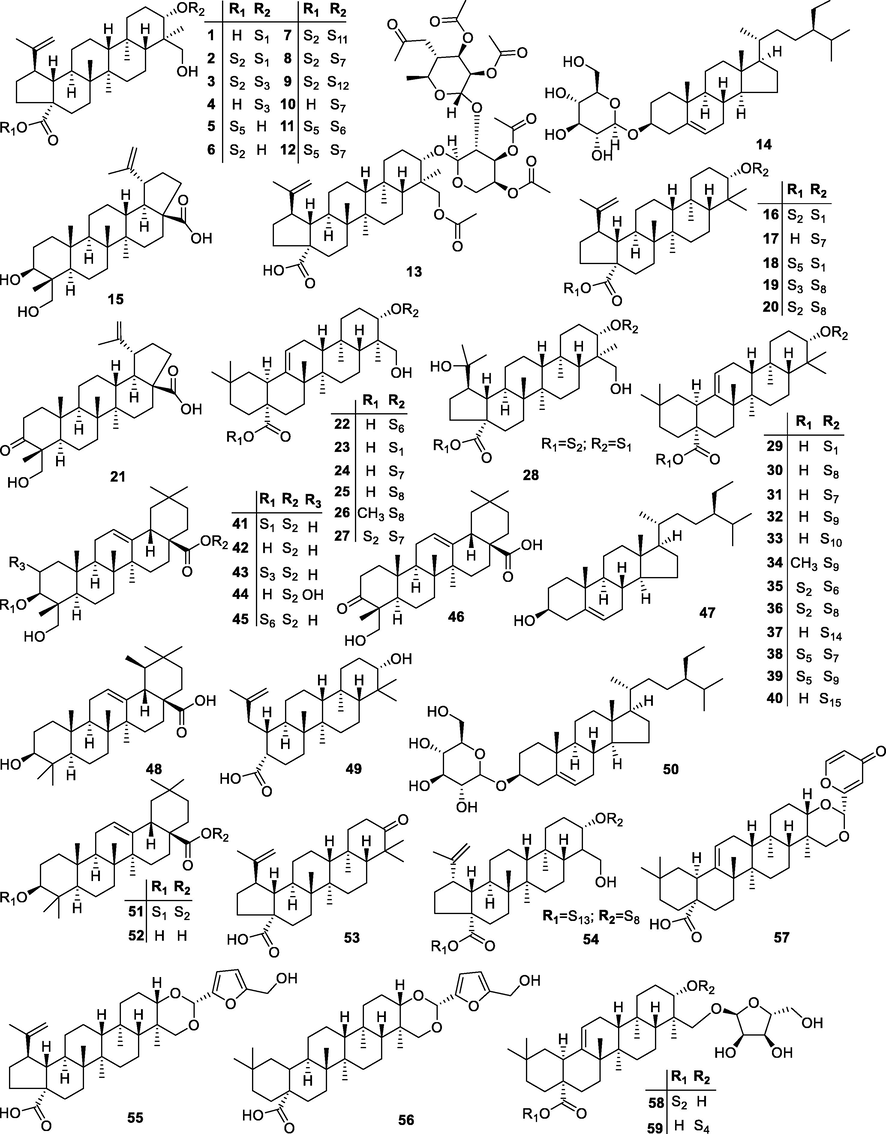 Chemical structures of triterpenoids isolated from P. chinensis.